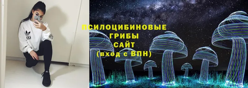 Галлюциногенные грибы Psilocybine cubensis  где продают наркотики  Вуктыл 