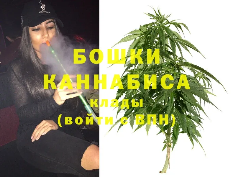 закладка  Вуктыл  Канабис Ganja 